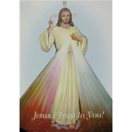 Divine Mercy metal magnet