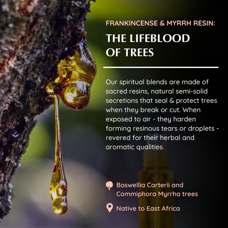 Frankincense & Myrrh Aroma fume Perfume - Image 2